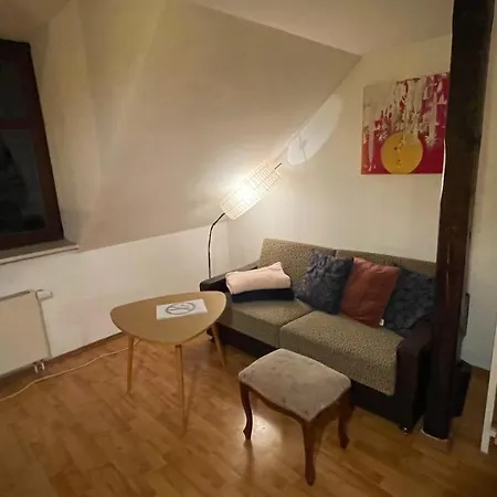 Grosszuegige Maisonette Ueber Den Daechern Leipzigs Appartement