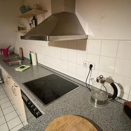 Appartement Grosszuegige Maisonette Ueber Den Daechern Leipzigs