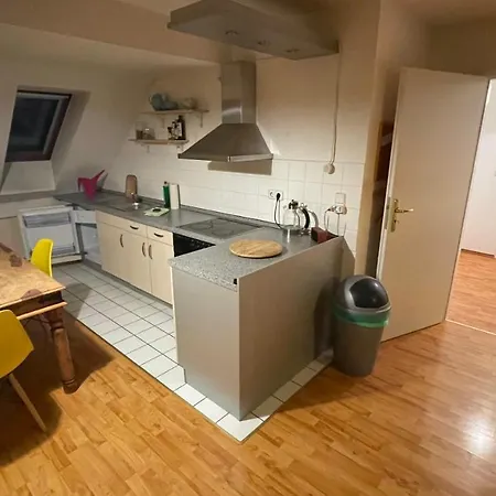 Grosszuegige Maisonette Ueber Den Daechern Leipzigs Apartment