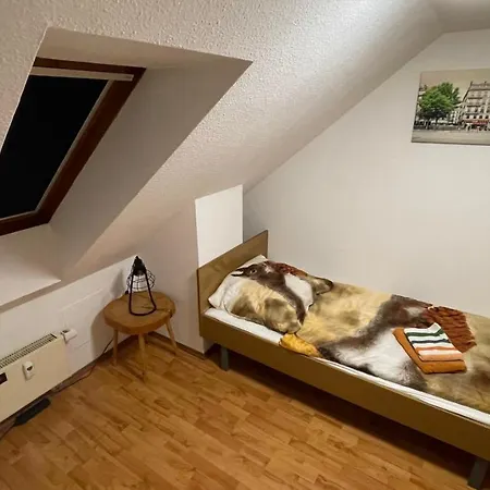 Grosszuegige Maisonette Ueber Den Daechern Leipzigs Appartement Leipzig