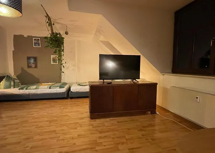 Grosszuegige Maisonette Ueber Den Daechern Leipzigs Leipzig