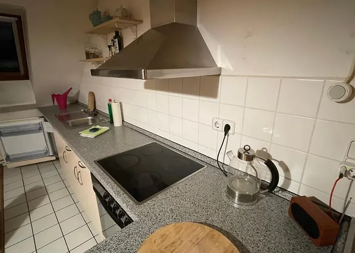 Apartment Grosszuegige Maisonette Ueber Den Daechern Leipzigs