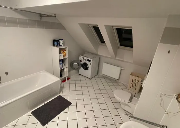 Grosszuegige Maisonette Ueber Den Daechern Leipzigs Leipzig